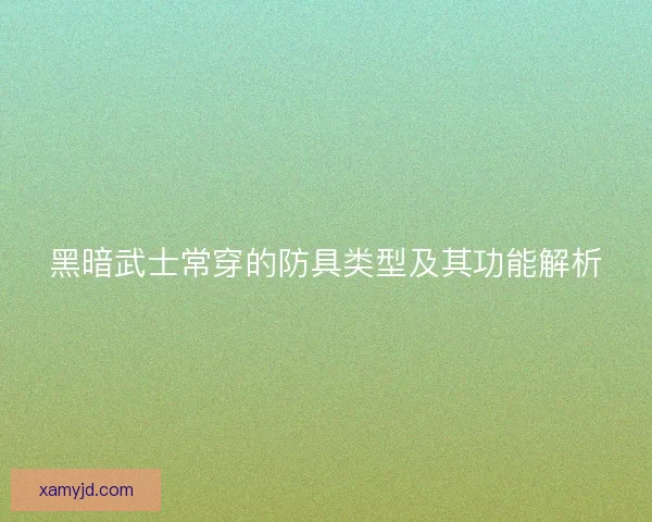 黑暗武士常穿的防具类型及其功能解析